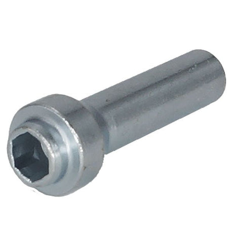 WOODY'S ATTACK SCREW (WST - TOOL - 6) - DRIVEN Canada's Powersports WST - TOOL - 6